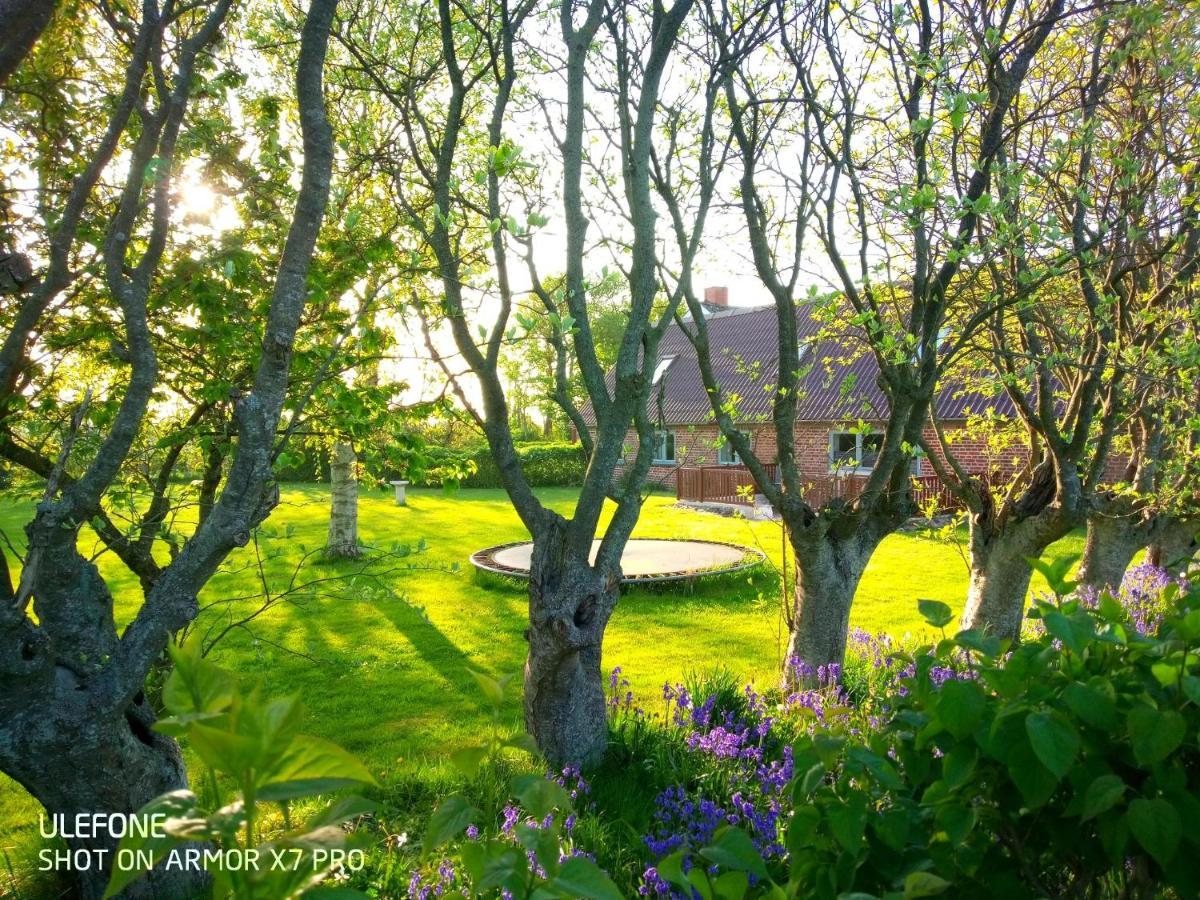 Lilleledgaard Country House Ringkøbing Eksteriør bilde