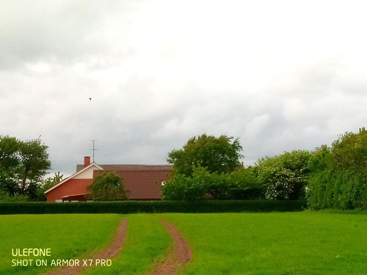 Lilleledgaard Country House Ringkøbing Eksteriør bilde